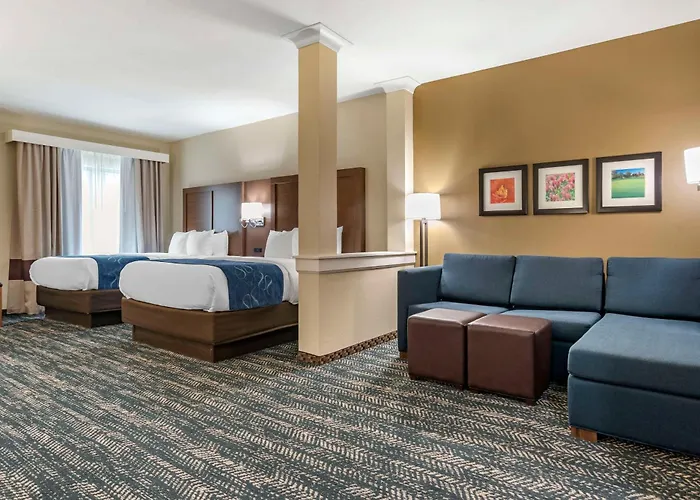 Comfort Inn & Suites Downtown Near University