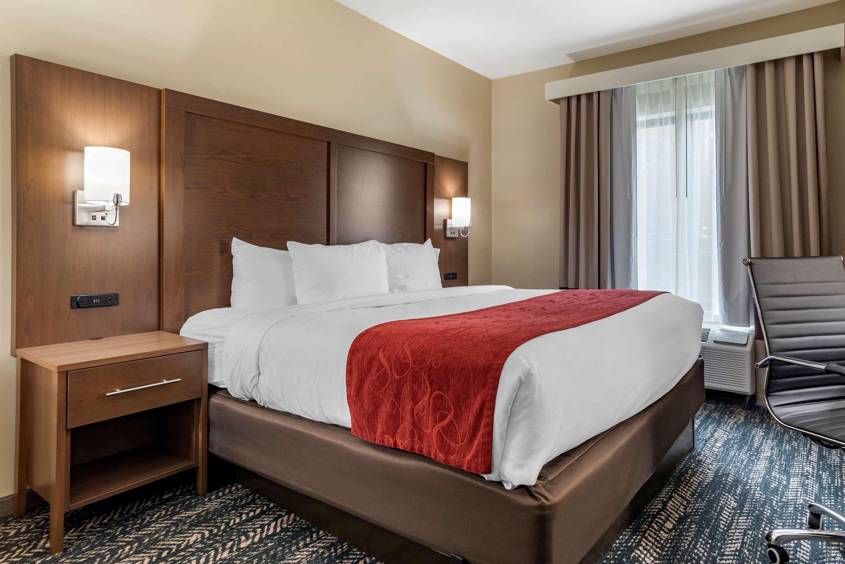 Comfort & Downtown Near Hotel Tuscaloosa