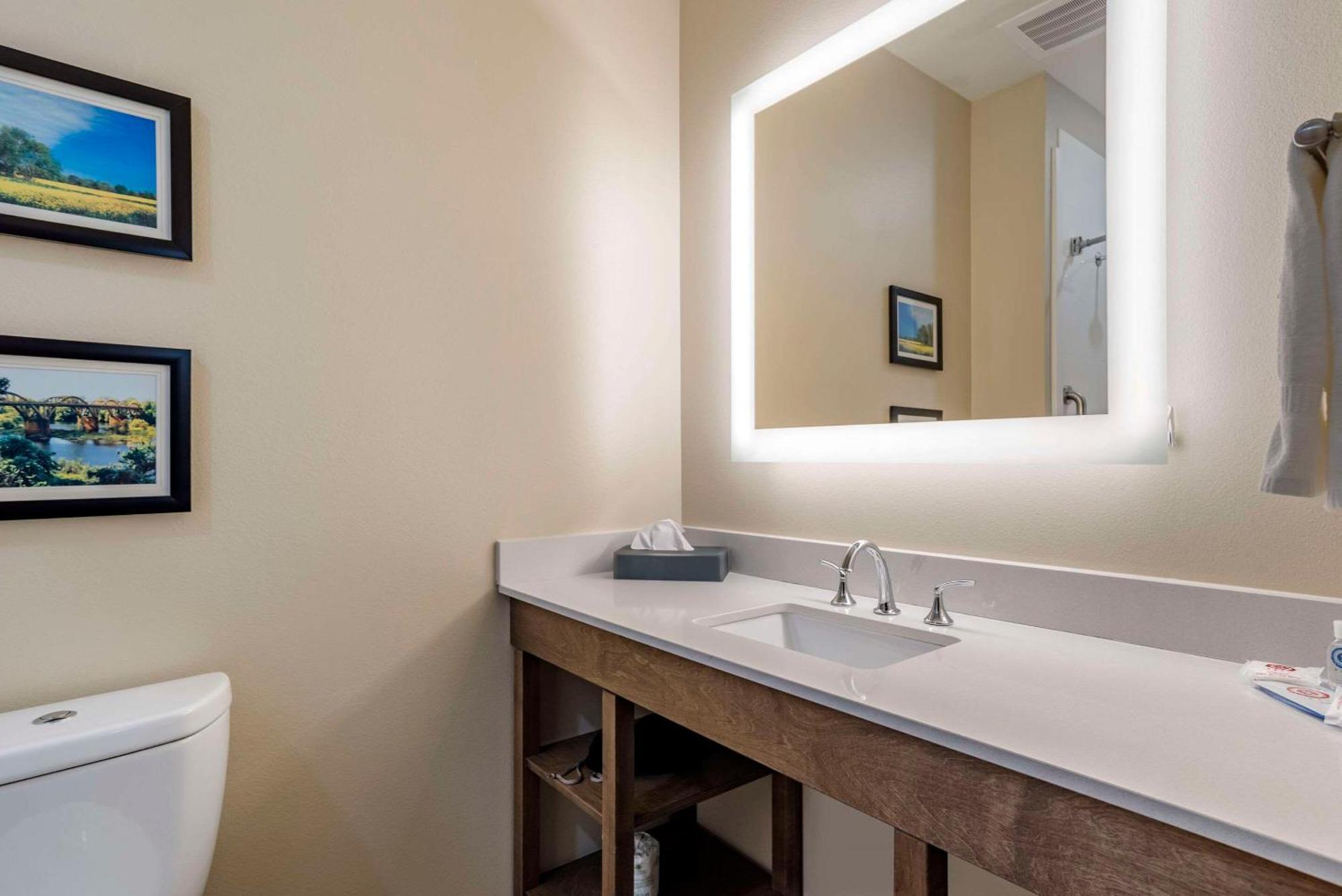 Hotel Comfort & Downtown Near Tuscaloosa